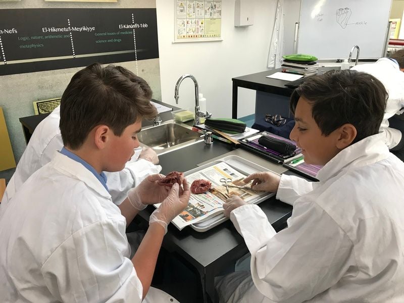 Science Term 2 Science Term 2